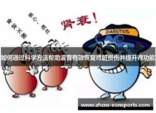 如何通过科学方法帮助波普有效恢复肾脏损伤并提升肾功能