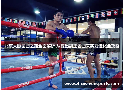 北京大腿回归之路全面解析 从复出到王者归来实力进化全攻略